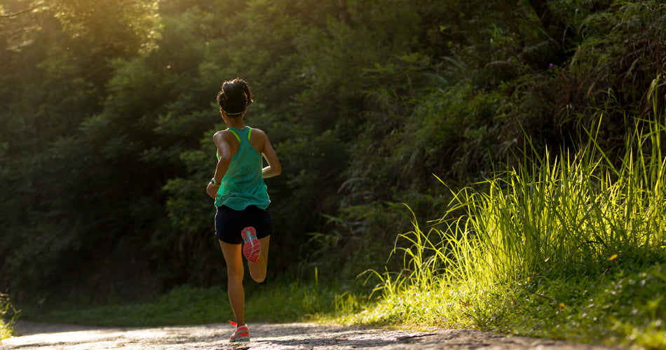 Orbitrek X17: Move your body the way nature intended