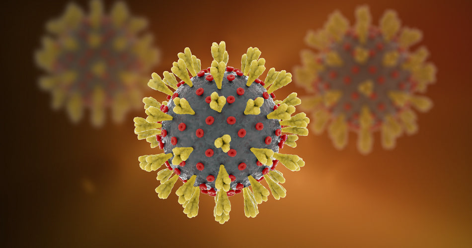 Why you can’t kill germs with water alone...but you can with SWater