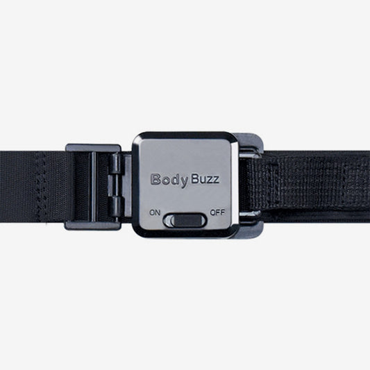 Body Buzz - Posture & Abdominal Training System